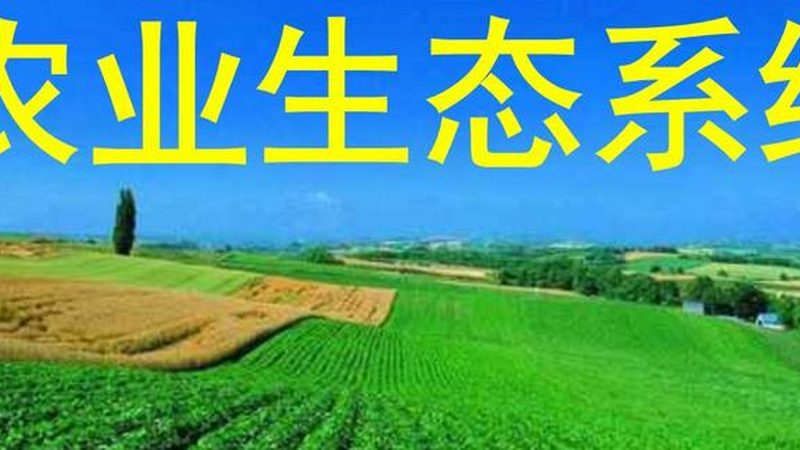 温室种植温湿度参数设置：关键因素与优化策略
