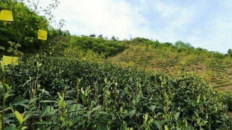 某地区一家种植合作社，在财务管理方面存在以下问题：