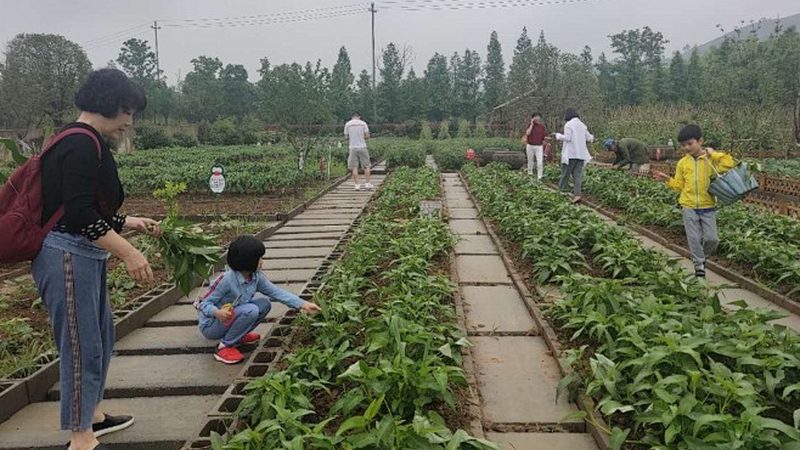 以下是一些在农药行业具有较高知名度和良好口碑的厂家，供参考：