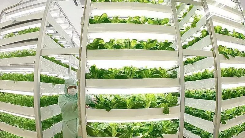 绿色食品加盟代理：揭秘费用构成与合理选择**