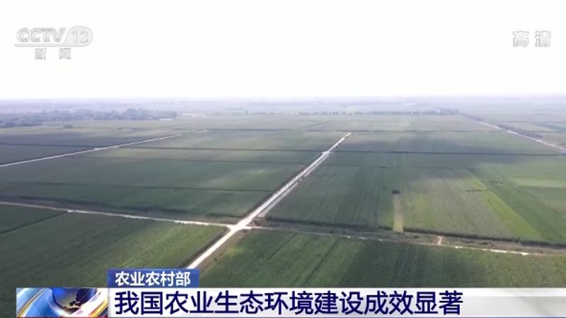 休闲农业开发全流程：从规划到运营的细致解析