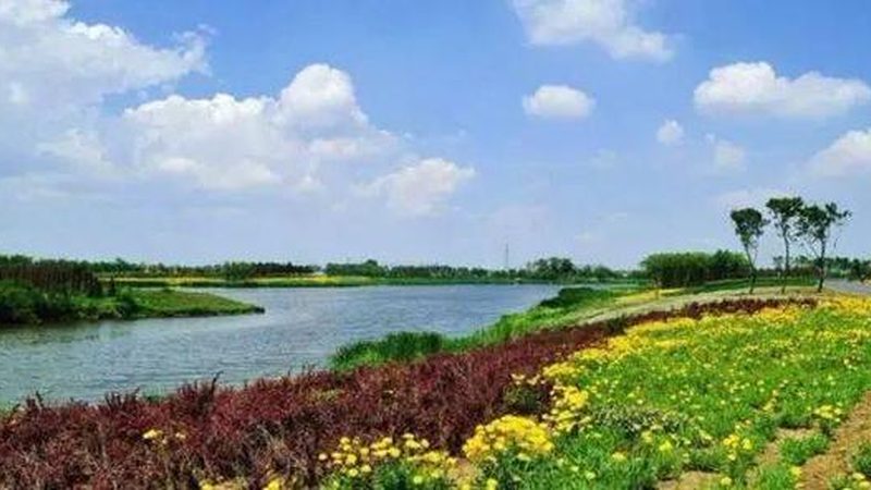 平原种水果与高山种水果：地理环境对水果种植的影响