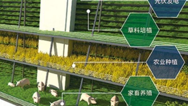 农业主题公园景观设计：打造生态休闲新体验**