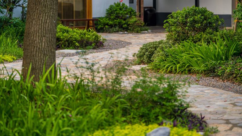 智能温室大棚：构建现代农业的绿色引擎