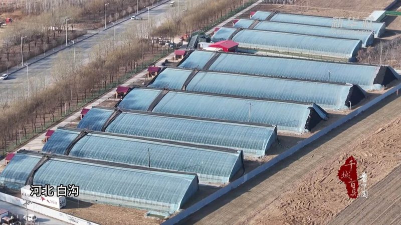 农资批发市场进货渠道和厂家区别
