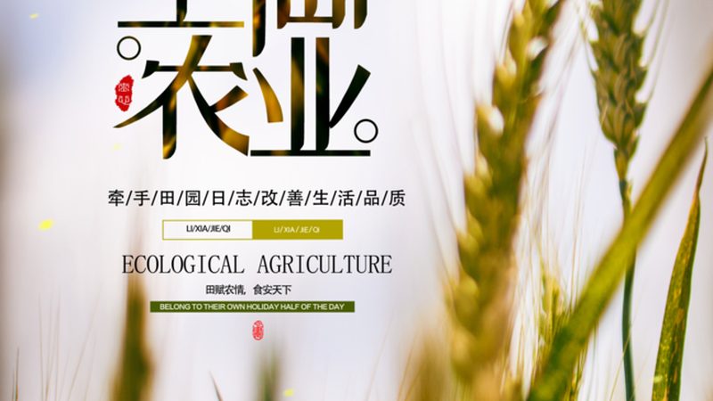 生态农业产业链搭建：规范之路，绿色发展之道